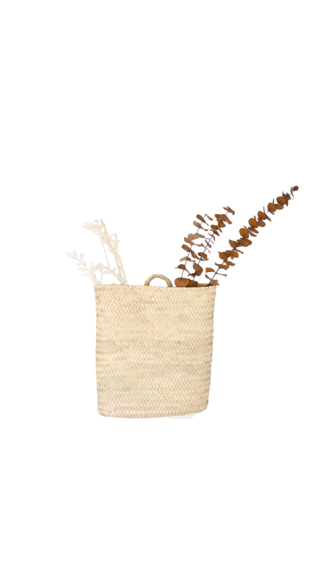 Farah Hanging Basket