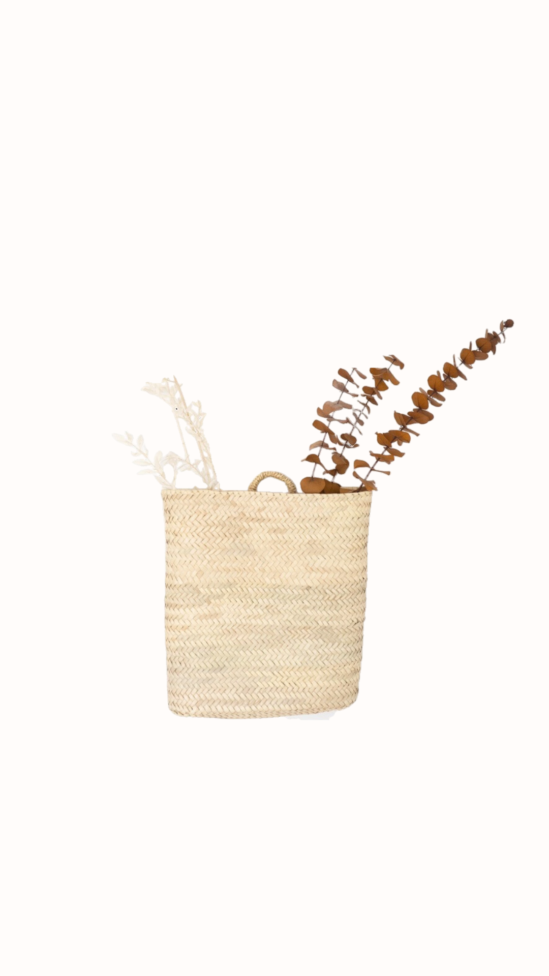 Farah Hanging Basket